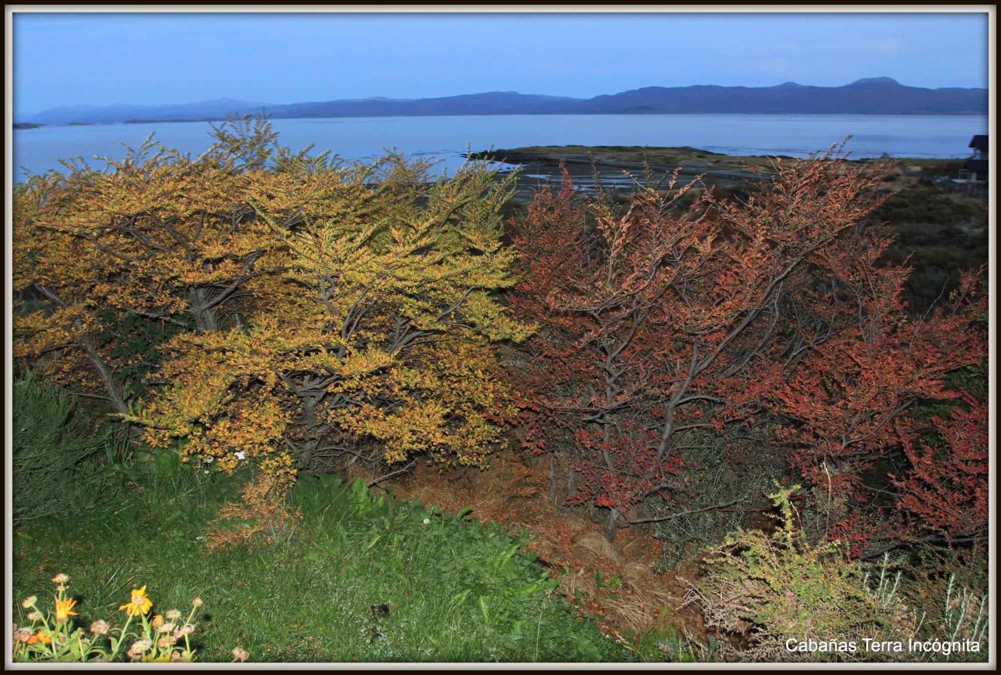 Terra Incognita Villa Ushuaia Room photo